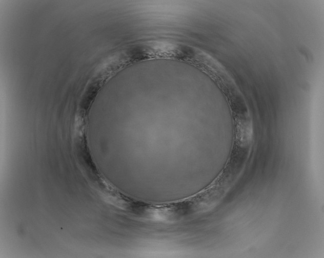 X0000110710701200906121355