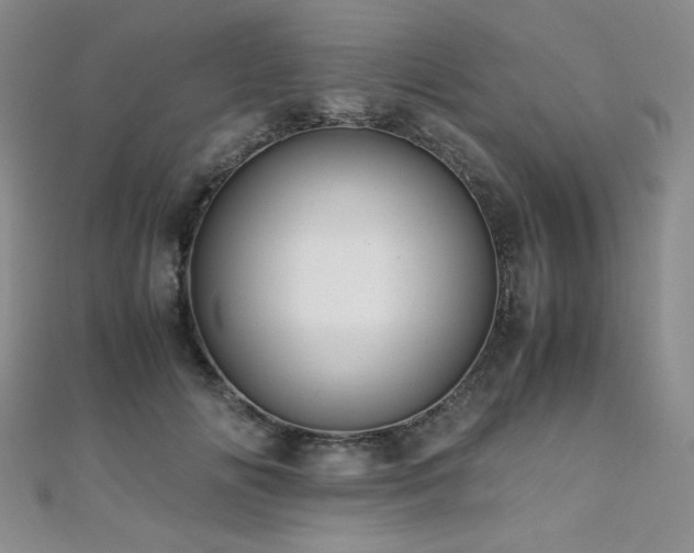 X0000110710702200906121355