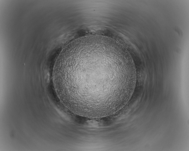 X0000110710703200906121355