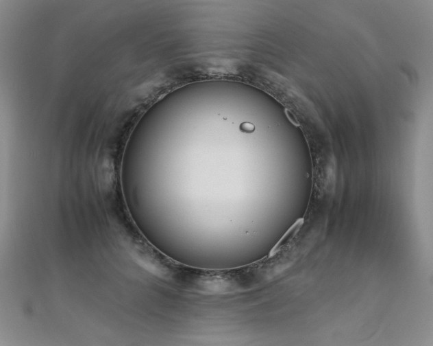 X0000110710704200906121355