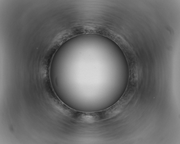 X0000110710706200906121355