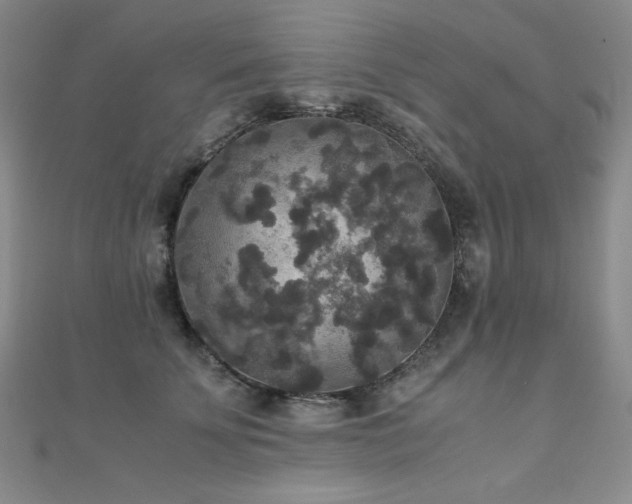 X0000110710707200906121354