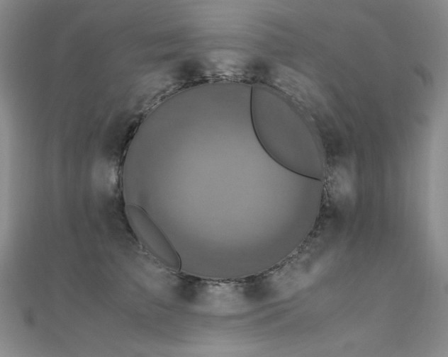 X0000110710709200906121354