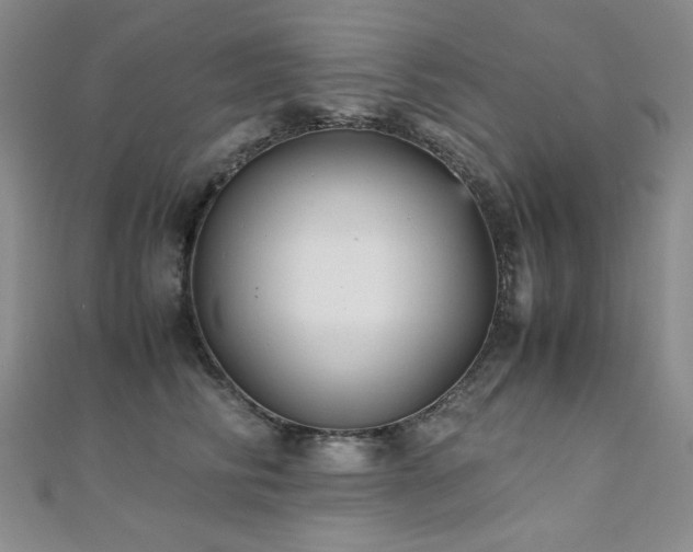 X0000110710710200906121354