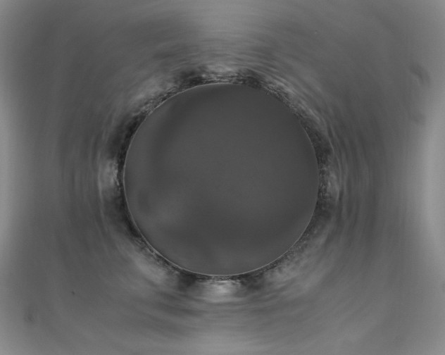 X0000110710711200906121354