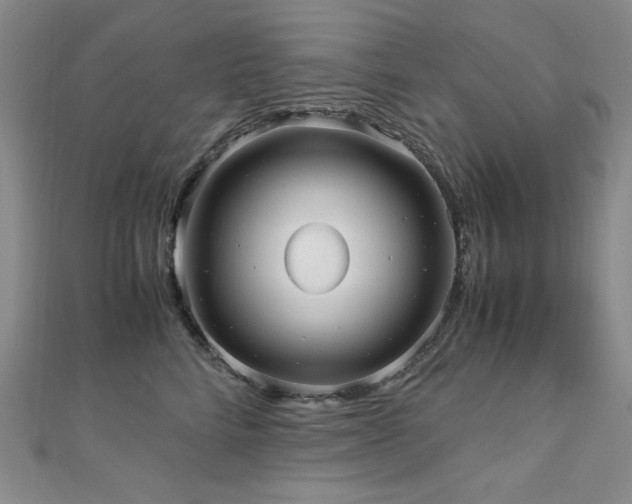 X0000110710712200906121354