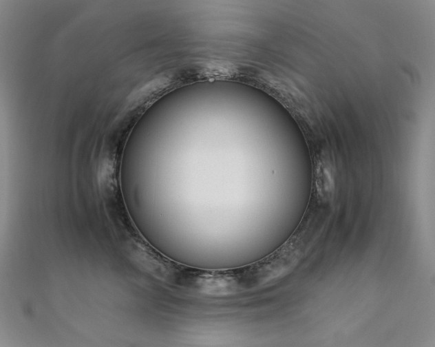 X0000110710714200906121354