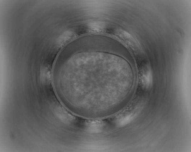 X0000110710716200906121354