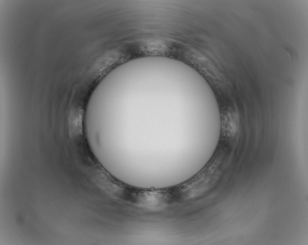 X0000110710717200906121354