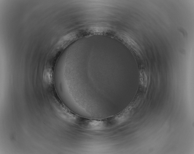 X0000110710718200906121354