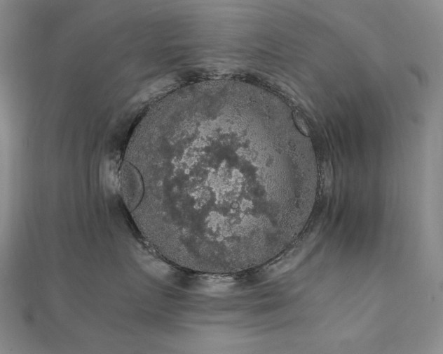 X0000110710719200906121354