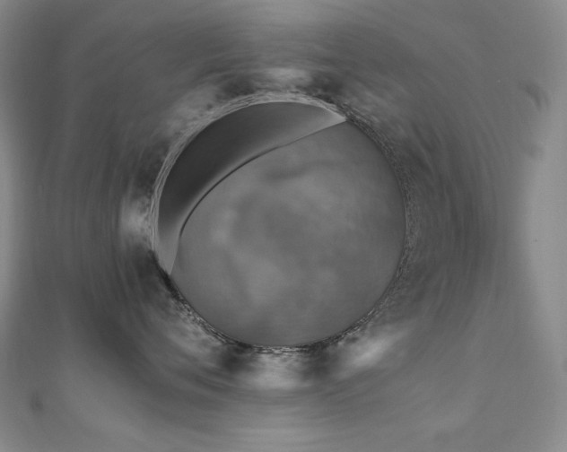 X0000110710720200906121354