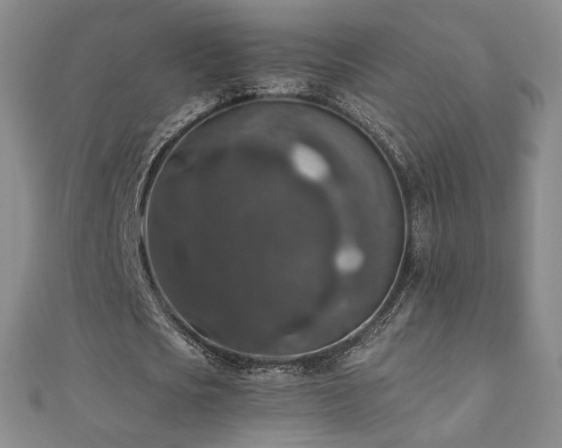 X0000110710721200906121354
