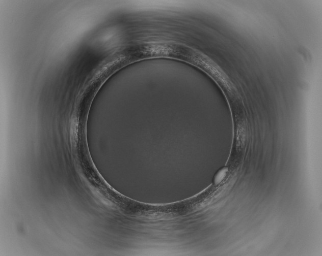 X0000110710722200906121354