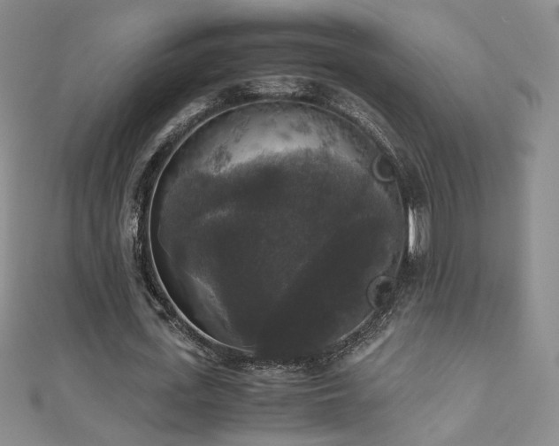 X0000110710723200906121354