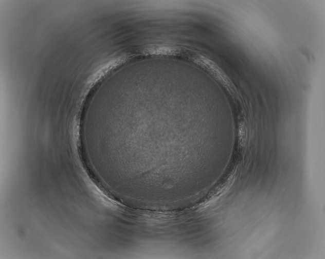 X0000110710725200906121354