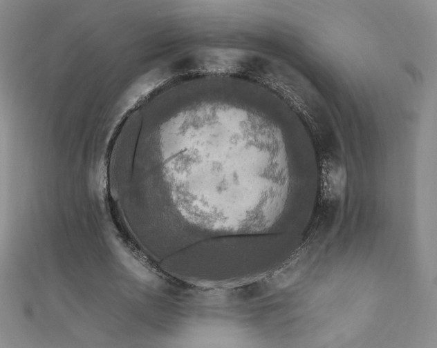 X0000110710726200906121354