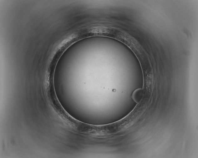 X0000110710727200906121354