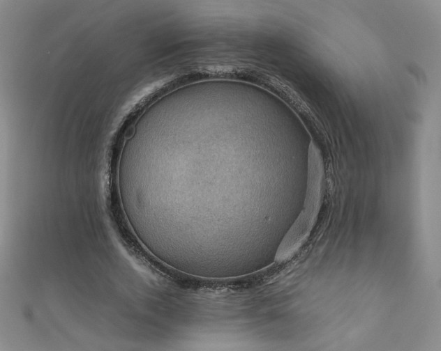 X0000110710728200906121354