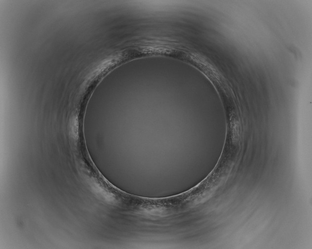 X0000110710729200906121354