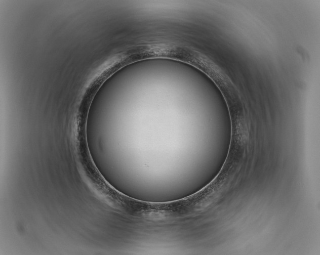 X0000110710730200906121354