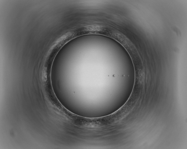 X0000110710731200906121354