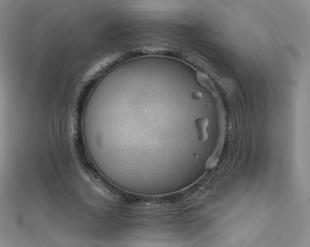 X0000110710732200906121354