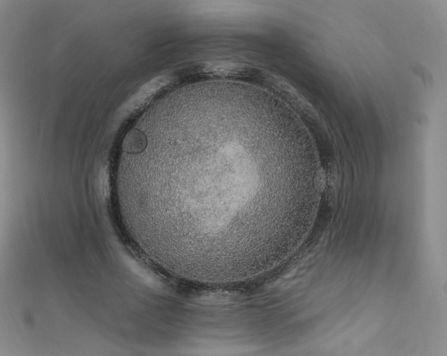 X0000110710734200906121354