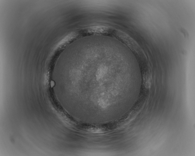 X0000110710735200906121354
