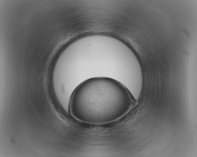 X0000110710736200906121354