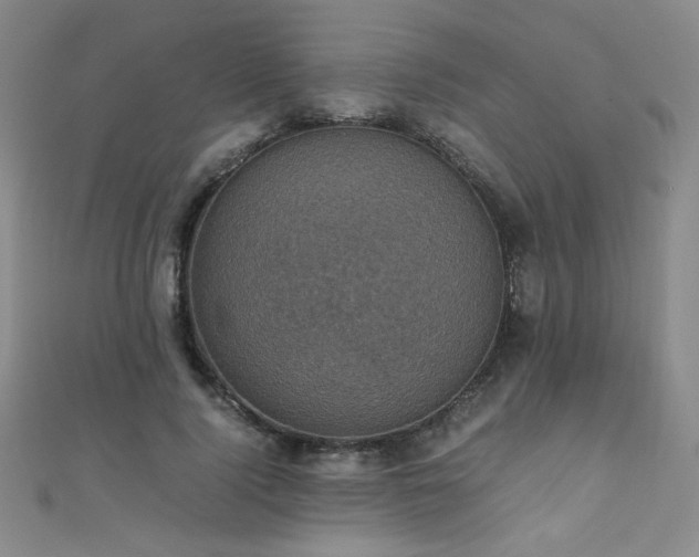 X0000110710740200906121354