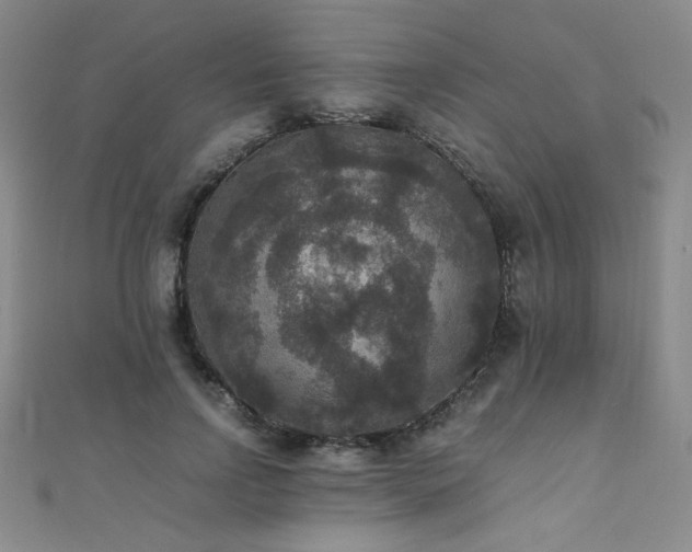 X0000110710742200906121354