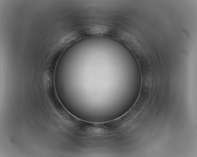 X0000110710743200906121354