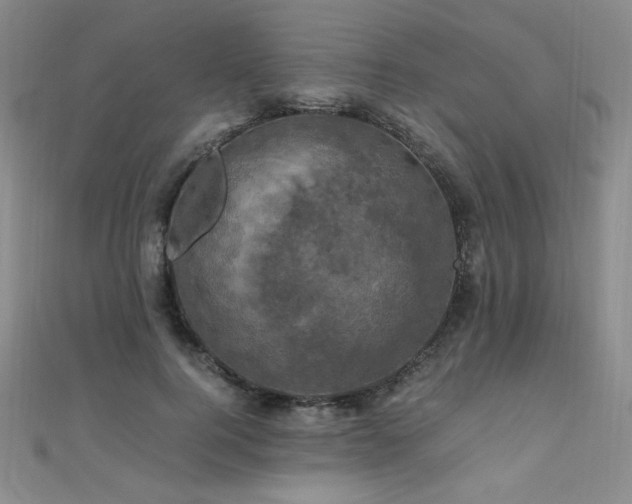 X0000110710744200906121354