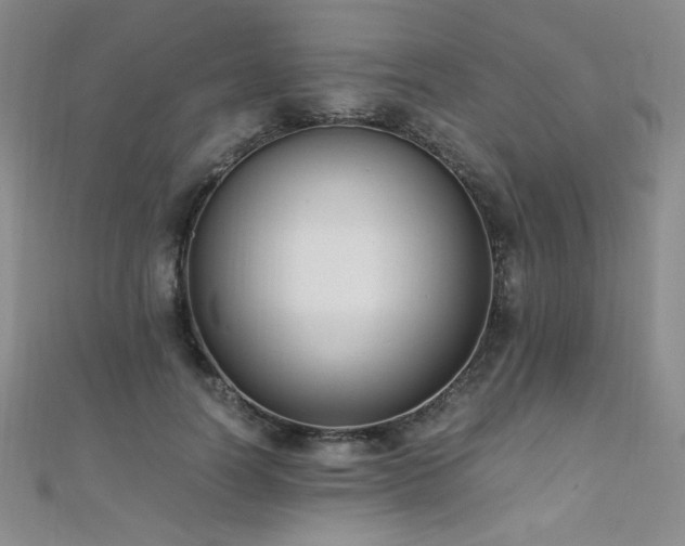 X0000110710746200906121354
