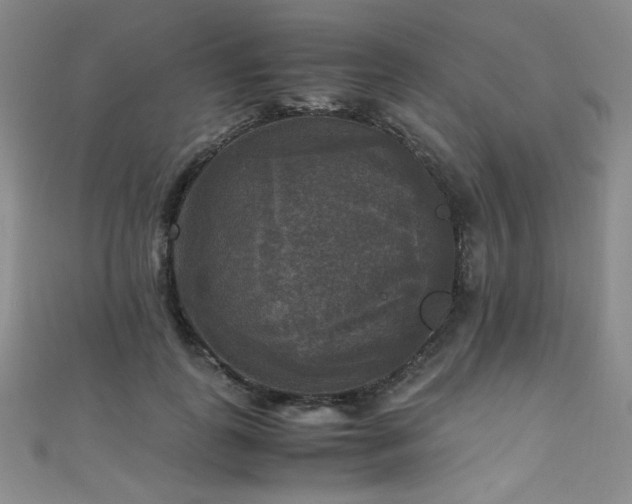 X0000110710747200906121354