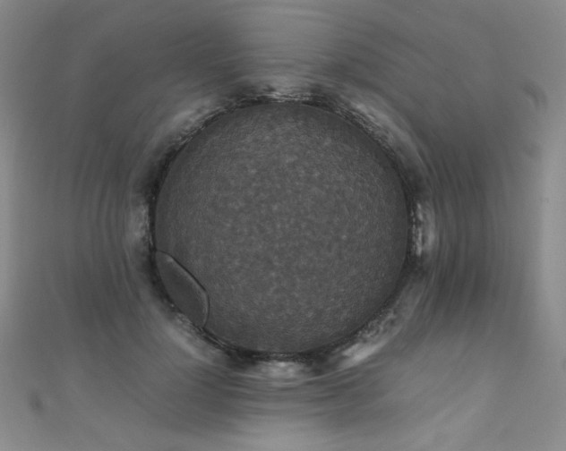 X0000110710748200906121354