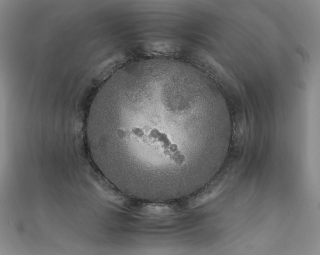 X0000110710749200906121354