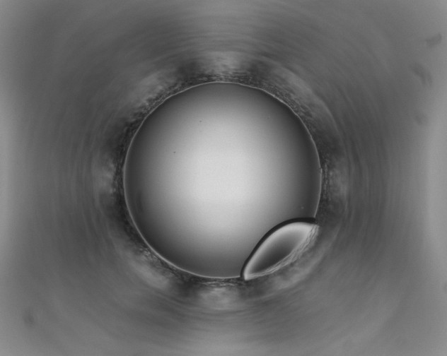 X0000110710750200906121354