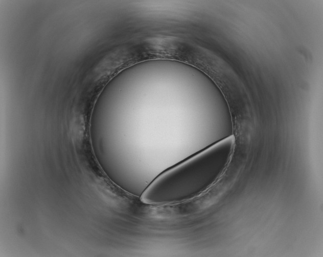 X0000110710752200906121354