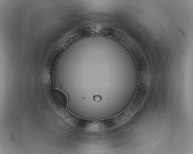 X0000110710754200906121354