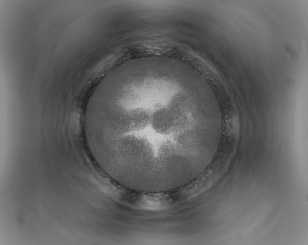 X0000110710757200906121354
