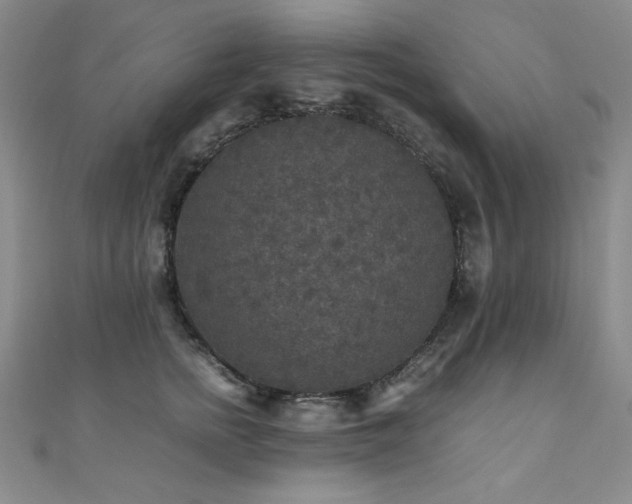 X0000110710758200906121354