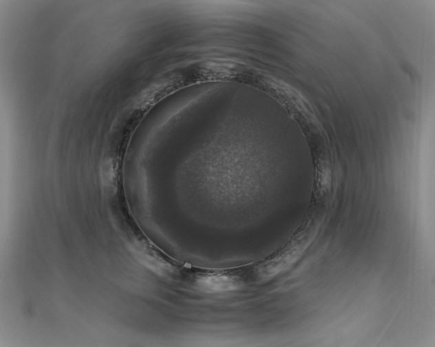 X0000110710759200906121354