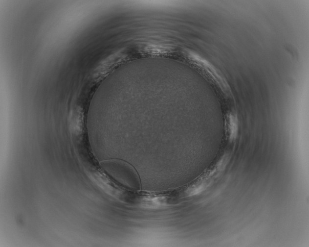 X0000110710760200906121354