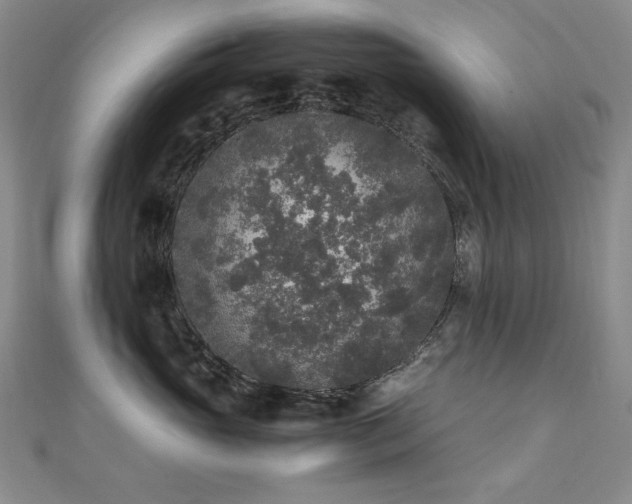 X0000110710765200906121354