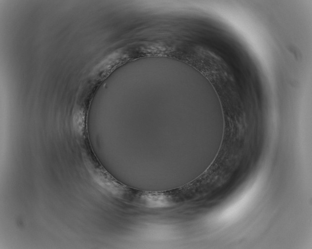 X0000110710767200906121354