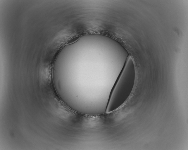 X0000110710768200906121354