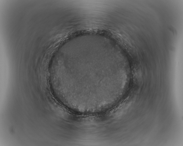 X0000110710769200906121354