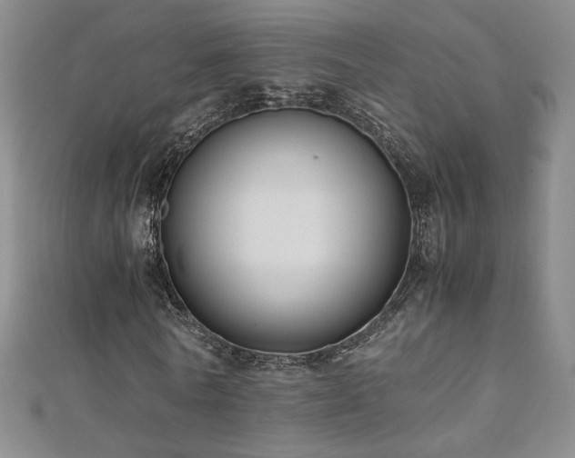 X0000110710770200906121354